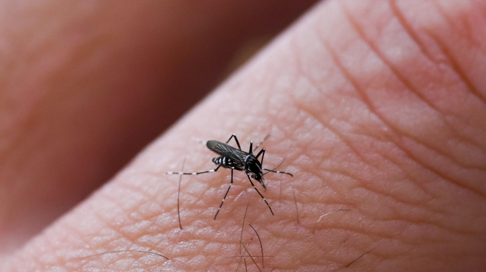 Febbre del Nilo, il numero dei casi nell'uomo sale a 4 nell'Oristanese