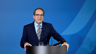 Erstmals seit 2011 wieder Straft&auml;ter nach Syrien abgeschoben