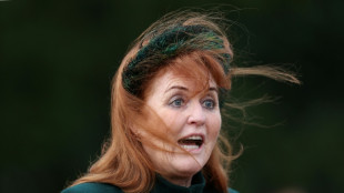 Sarah Ferguson se dirigi&oacute; en un correo electr&oacute;nico a Epstein como un "hermano"