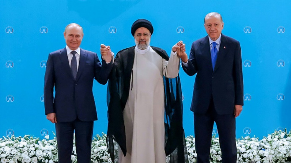 &iquest;Atacar&aacute; Turqu&iacute;a a los kurdos en Siria sin el aval de Rusia e Ir&aacute;n?