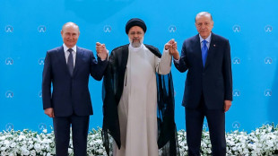&iquest;Atacar&aacute; Turqu&iacute;a a los kurdos en Siria sin el aval de Rusia e Ir&aacute;n?
