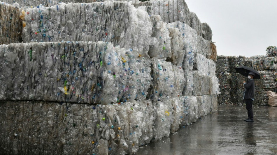 Des enzymes "mangeurs de plastique" d&eacute;couverts dans de la salive de larves