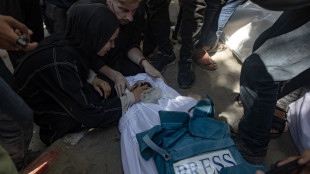 Protezione civile Gaza, '14 morti nei raid israeliani'