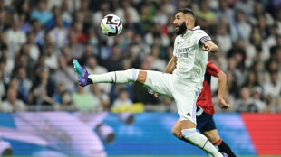 Benzema expected to win Ballon d'Or after exploits with Real Madrid