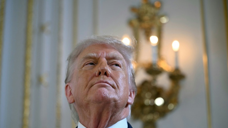 Trump propose un "Conseil de paix" concurrent de l'ONU mais totalement &agrave; sa main