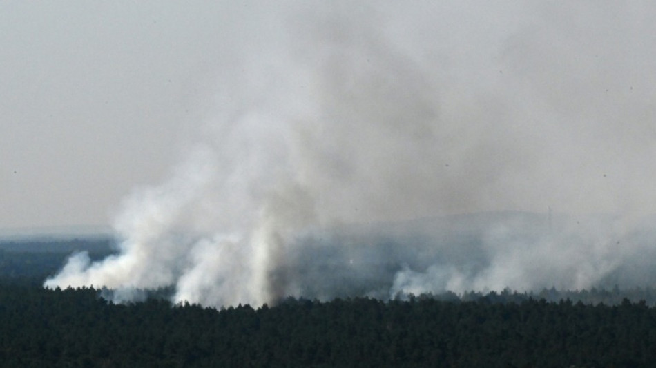 Gro&szlig;brand im Berliner Grunewald breitet sich Richtung S&uuml;dwesten aus