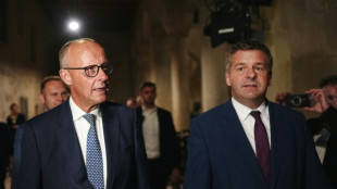 Merz warnt vor AfD-Sieg in Sachsen-Anhalt: "kein Experimentierfeld f&uuml;r Wutb&uuml;rger"