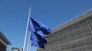 Ue, 'domenica si valuter&agrave; chance su intesa equilibrata'