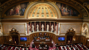 Retraites: le S&eacute;nat adopte la r&eacute;forme des retraites avant une semaine d&eacute;cisive