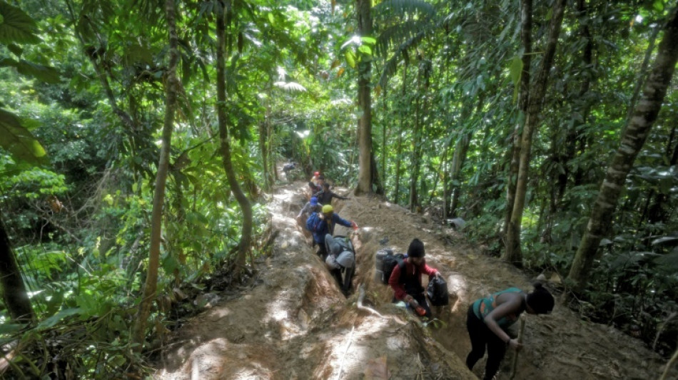 Migrants crossing perilous Darien Gap in record numbers: Panama