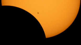 Total eclipse gives scientists chance to probe Sun's mysteries