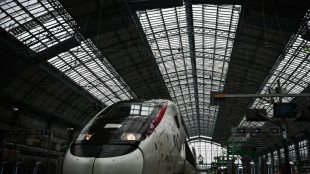 TGV, TER, Ouigo: la gr&egrave;ve &agrave; la SNCF perturbe les d&eacute;parts en vacances