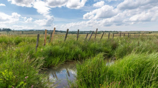 Dans le Cantal, un projet de carri&egrave;re sur une zone humide suscite des remous