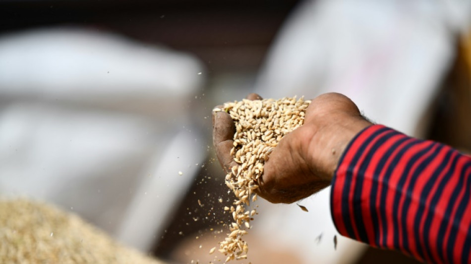 LA FAO advierte que "los m&aacute;s vulnerables pagar&aacute;n m&aacute;s por menos" por subida de precios de alimentos