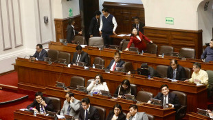 Il Per&ugrave; al voto per introdurre il terrorismo urbano nel codice