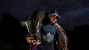 Le pirarucu, poisson g&eacute;ant et d&eacute;lice menac&eacute; de l'Amazone