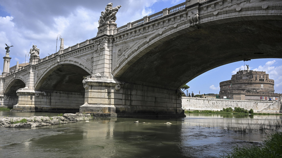 Clima, per Onu 'pianeta in grave pericolo'