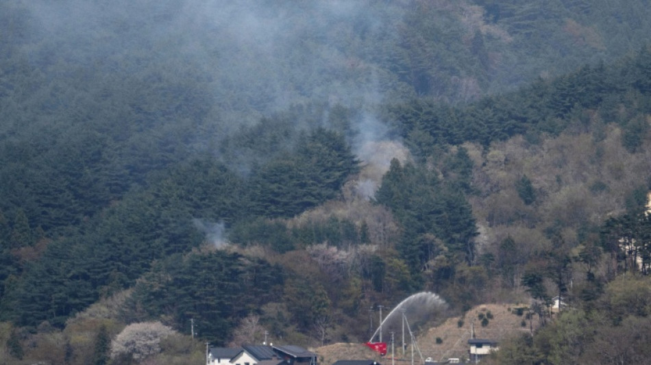 Hundreds of firefighters battle Japan forest blazes