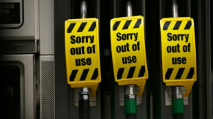 IEA says members to release 400 mn barrels from oil reserves