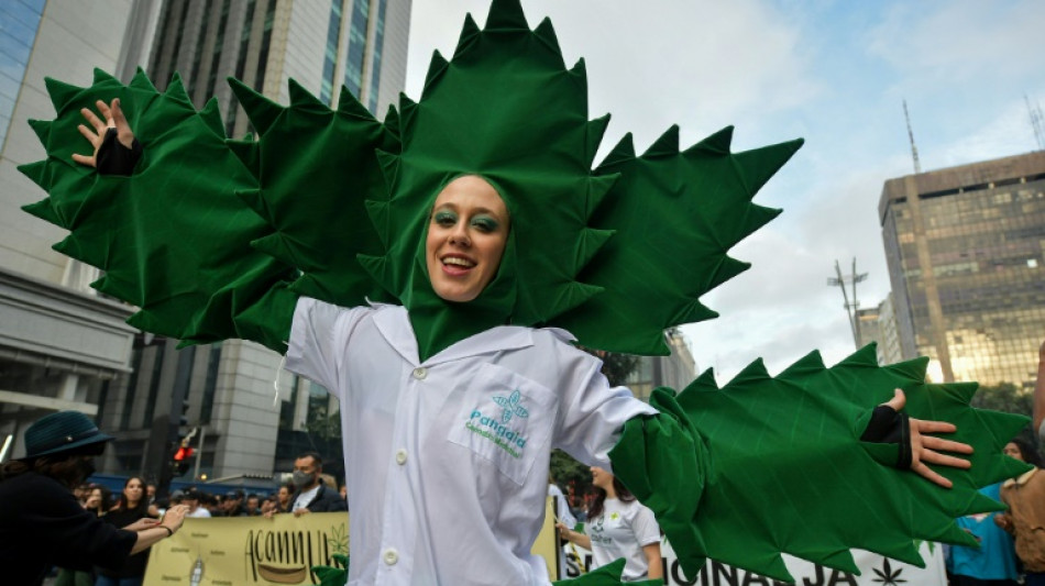 Brésil: un tribunal autorise trois patients à cultiver du cannabis à usage médical
