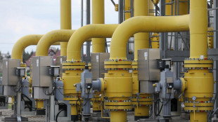 Il gas in calo (-2%) a 73 euro al Megawattora