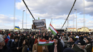 Via libera dell'Ungheria a nuova stretta sui diritti umani
