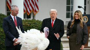 Talking turkey: Trump turns pardon ritual into political roast