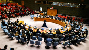 Conselho de Seguran&ccedil;a da ONU analisa crise territorial entre Venezuela e Guiana