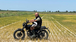Les rizi&egrave;res du "triangle d'or" italien d&eacute;cim&eacute;es par la s&eacute;cheresse