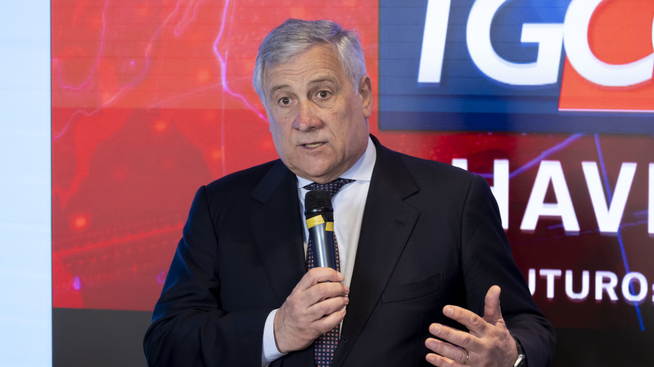 Tajani, il redditometro non funziona, ne chieder&ograve; l'abolizione