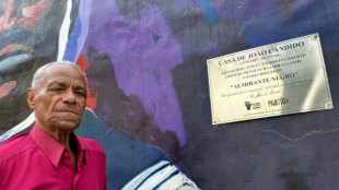 Humilhado em vida, Jo&atilde;o C&acirc;ndido, o 'Almirante negro', &eacute; homenageado na Sapuca&iacute;