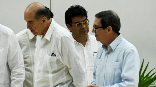 Colombia aspira a reanudar el di&aacute;logo con el ELN y Cuba a apoyar el proceso