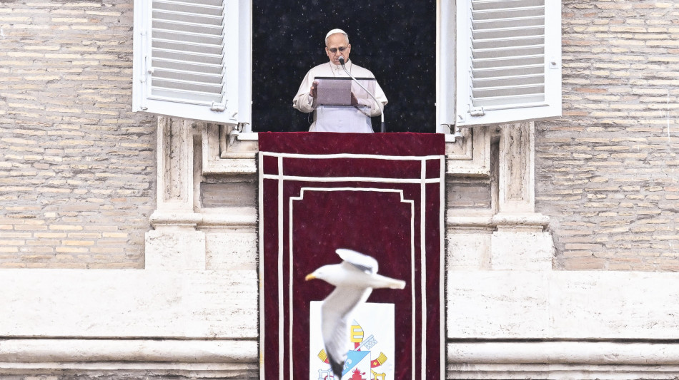 Il Papa, 'ladro chi fa la guerra, ruba un futuro di pace'