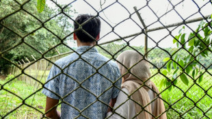 'Jail or death': migrants expelled by Trump fear for their fate