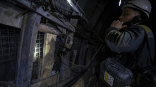 Tratti in salvo i 41 minatori nel Lugansk