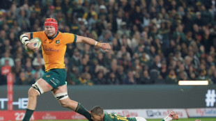 Skipper Wilson back as Wallabies face Argentina threat
