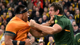 Springboks believe again after dominating Wallabies win: Kolisi
