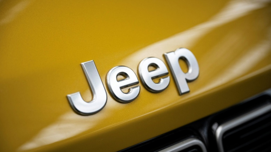 Carmaker Stellantis swings back into profit as sales climb