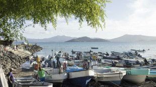 &Agrave; Mayotte, les p&ecirc;cheurs bloqu&eacute;s &agrave; quai depuis novembre, faute d'autorisation