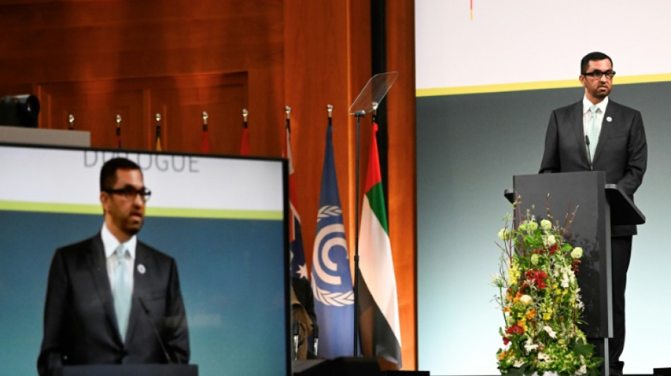 Presidente da COP28 pede triplica&ccedil;&atilde;o da capacidade de energias renov&aacute;veis at&eacute; 2030