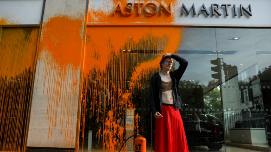 Umweltaktivisten bespr&uuml;hen Showroom von Aston Martin in London mit Farbe