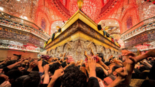 Unos 22 millones de peregrinos chiitas en ciudad iraqu&iacute; de Kerbala para el Arbain