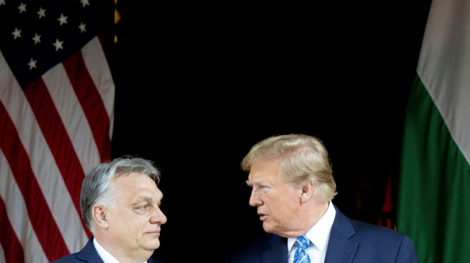 Trump 'n&atilde;o vai dar nem um centavo' &agrave; Ucr&acirc;nia, afirma Orban