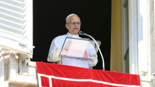 El papa León XIV expresa su solidaridad con "la tierra martirizada" de Gaza