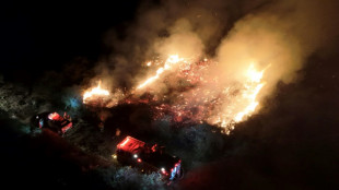 Incendios r&eacute;cord en el Pantanal brasile&ntilde;o en junio, antes de la temporada seca