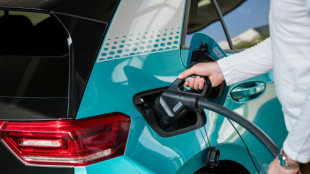 Automobile: les hybrides et &eacute;lectriques poursuivent leur conqu&ecirc;te de l'Europe