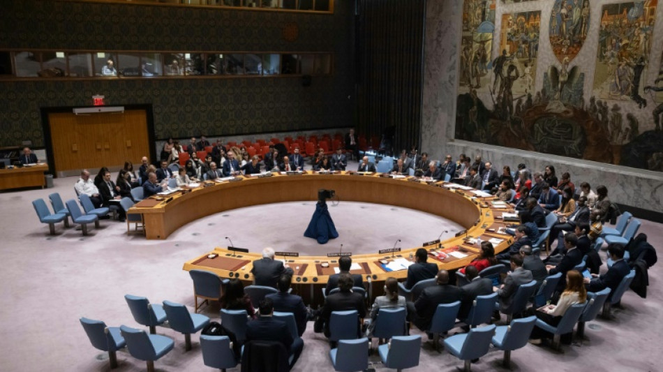 Conselho de Seguran&ccedil;a da ONU exige ajuda humanit&aacute;ria em Gaza em 'larga escala'