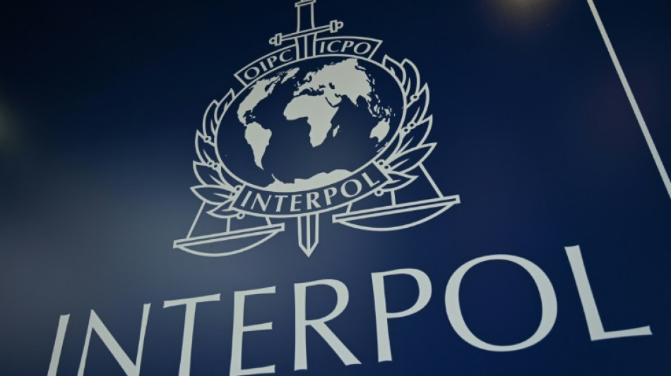 Interpol versch&auml;rft "Aufsichts- und Kontrollma&szlig;nahmen" f&uuml;r Russland