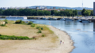 Binnenschiffer: Rhein k&ouml;nnte bald nicht mehr durchg&auml;ngig befahrbar sein