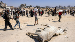 El enviado de Trump irá el viernes a Gaza para inspeccionar la distribución de la ayuda